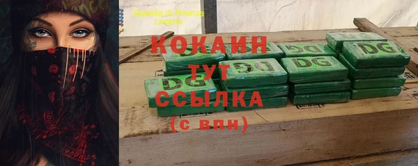 шишки Арсеньев
