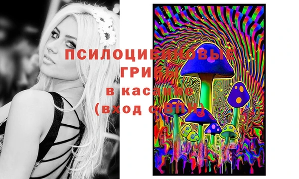 mix Армянск