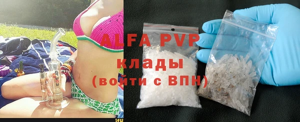 шишки Арсеньев